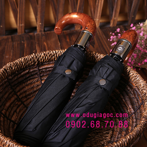 Sản phẩm chủ yếu