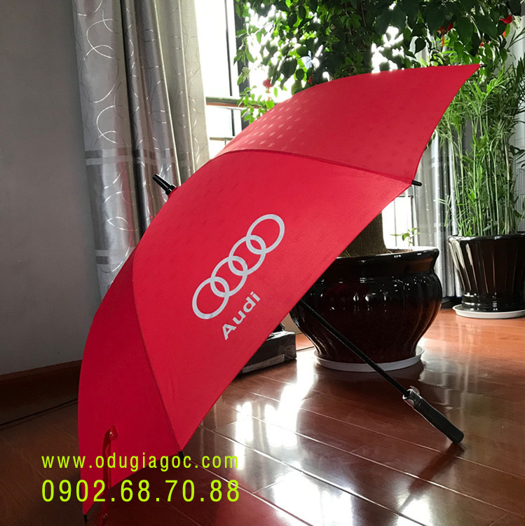 Hình ảnh có liên quan
